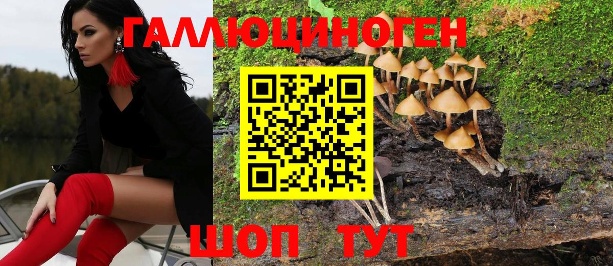 Псилоцибиновые грибы GOLDEN TEACHER Нерюнгри