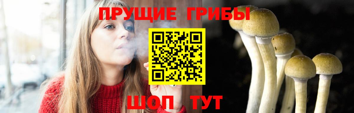 Галлюциногенные грибы мухоморы  Вход с VPN  Нерюнгри 